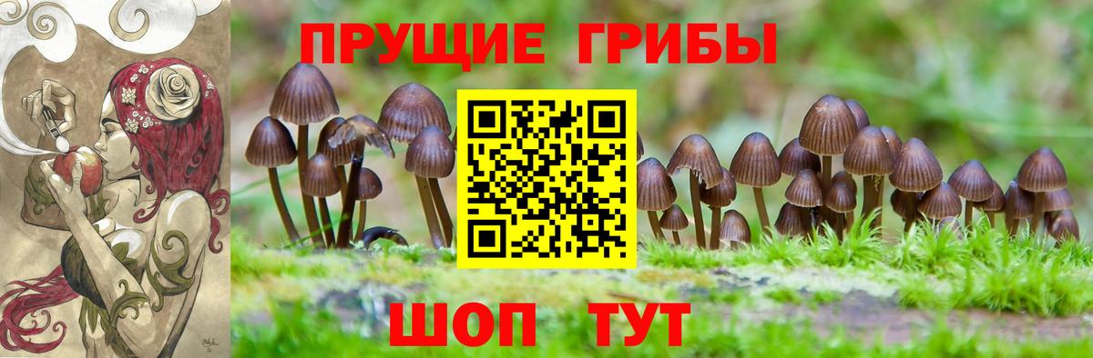 Верхний Уфалей  Псилоцибиновые грибы MAGIC MUSHROOMS  Вход с VPN 